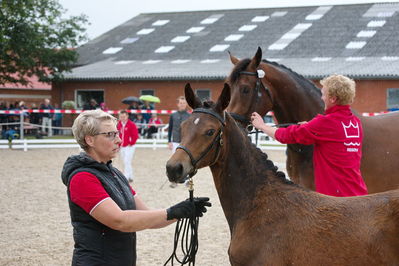 Følchampionat 2019
Billeder fra følchampionat 2019
Nøgleord: brammings pari-hera