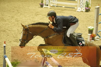 Worldcup Herning 2019
Csi3 grandprix 150cm
Nøgleord: piet raijmakers jn;van schijndel's gladstone