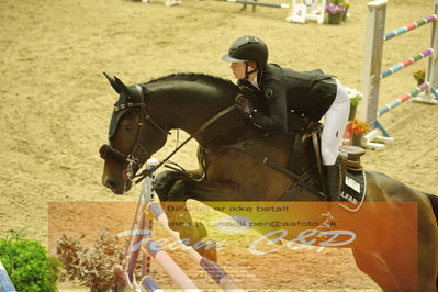 Worldcup Herning 2019
Csi3 grandprix 150cm
Nøgleord: mikaela gustaphson;inar c