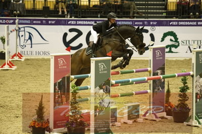 Worldcup Herning 2019
Csi3 grandprix 150cm
Nøgleord: mikaela gustaphson;inar c