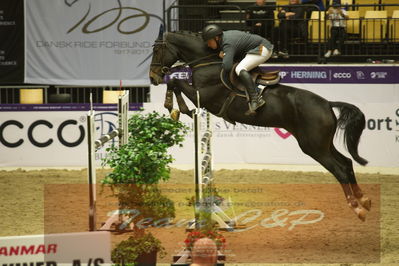 Worldcup Herning 2019
Csi3 grandprix 150cm
Nøgleord: thomas brandt;laviata