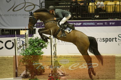 Worldcup Herning 2019
Csi3 grandprix 150cm
Nøgleord: torben frandsen;daughtry mak