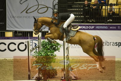 Worldcup Herning 2019
Csi3 grandprix 150cm
Nøgleord: stephi de boer;facebook 2
