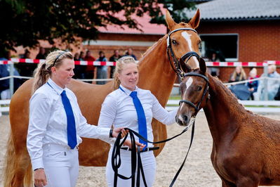 Følchampionat 2019
Billeder fra følchampionat 2019
Nøgleord: fredenslyst carola