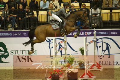 Worldcup Herning 2019
Csi3 grandprix 150cm
Nøgleord: christine thirup christensen;vedric
