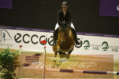 Worldcup Herning 2019
Csi3 grandprix 150cm
Nøgleord: louisa müller;salitos 9