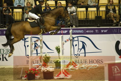 Worldcup Herning 2019
Csi3 grandprix 150cm
Nøgleord: louisa müller;salitos 9