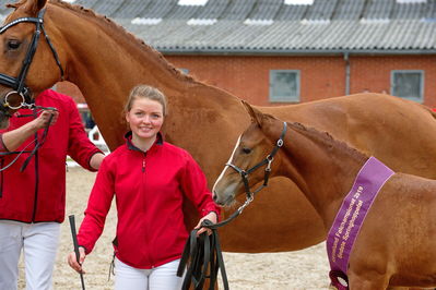 Følchampionat 2019
Billeder fra følchampionat 2019
Nøgleord: alibi's cassira