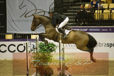 Worldcup Herning 2019
Csi3 grandprix 150cm
Nøgleord: stine cassoe jacobsen;conshillo