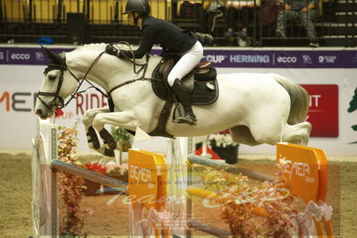 Worldcup Herning 2019
Csi3 grandprix 150cm
Nøgleord: benedikte rie truelsen;cassina z