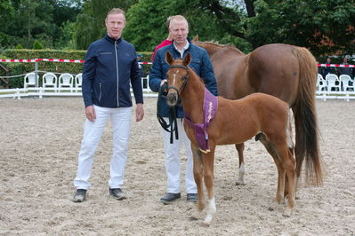 Følchampionat 2019
Billeder fra følchampionat 2019
Nøgleord: sunas chardonay