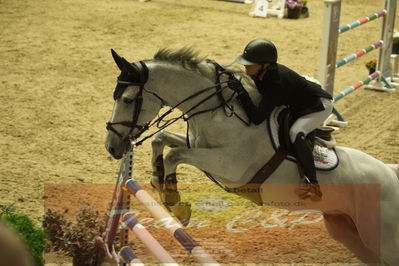 Worldcup Herning 2019
Csi3 grandprix 150cm
Nøgleord: linn widmark;coleburn