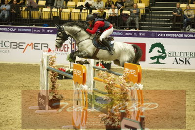 Worldcup Herning 2019
Csi3 grandprix 150cm
Nøgleord: rikke hasstrup kristensen;first  choice ht