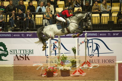 Worldcup Herning 2019
Csi3 grandprix 150cm
Nøgleord: rikke hasstrup kristensen;first  choice ht