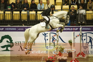 Worldcup Herning 2019
Csi3 grandprix 150cm
Nøgleord: rolf-goren bengtsson;emir r