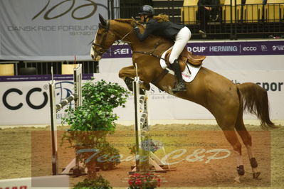 Worldcup Herning 2019
Csi3 grandprix 150cm
Nøgleord: caroline refhoff pedersen;carolus-magnus