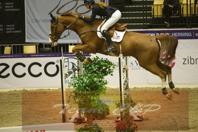 Worldcup Herning 2019
Csi3 grandprix 150cm
Nøgleord: caroline refhoff pedersen;carolus-magnus