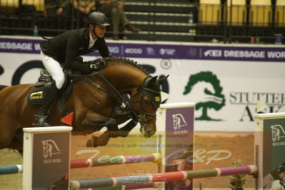 Worldcup Herning 2019
Csi3 grandprix 150cm
Nøgleord: marco kutcher;boeckmanns lord pezi junior