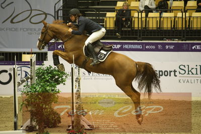 Worldcup Herning 2019
Csi3 grandprix 150cm
Nøgleord: daniel svensson;khan vd donkhoeve