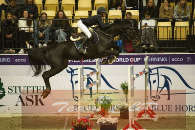 Worldcup Herning 2019
Csi3 grandprix 150cm
Nøgleord: justine tebbel;camilla p j