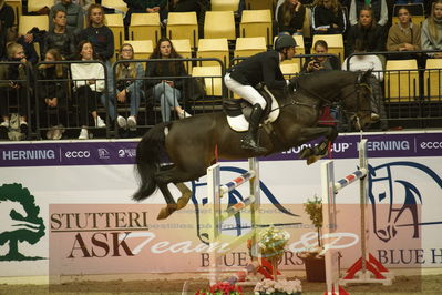 Worldcup Herning 2019
Csi3 grandprix 150cm
Nøgleord: lars bak andersen;3q oira