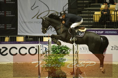 Worldcup Herning 2019
Csi3 grandprix 150cm
Nøgleord: thomas sandgaard;amarone
