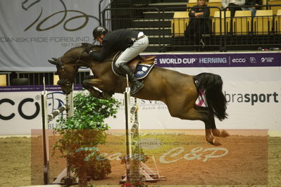 Worldcup Herning 2019
Csi3 grandprix 150cm
Nøgleord: guido jun klatte;asagan m