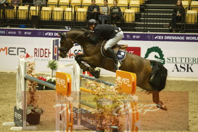 Worldcup Herning 2019
Csi3 grandprix 150cm
Nøgleord: guido jun klatte;asagan m