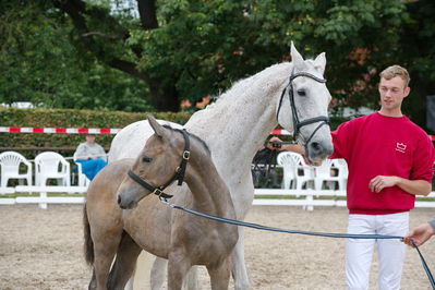 Følchampionat 2019
Billeder fra følchampionat 2019
Nøgleord: glegane;lap of honour