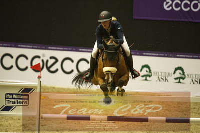 Worldcup Herning 2019
Csi3 grandprix 150cm
Nøgleord: zoe osterhoff;ferrari vdl