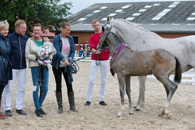 Følchampionat 2019
Billeder fra følchampionat 2019
Nøgleord: glegane;lap of honour