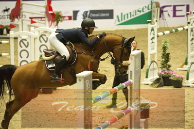 Worldcup Herning 2019
Csi3 grandprix 150cm
Nøgleord: zoe osterhoff;ferrari vdl