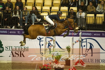 Worldcup Herning 2019
Csi3 grandprix 150cm
Nøgleord: zoe osterhoff;ferrari vdl