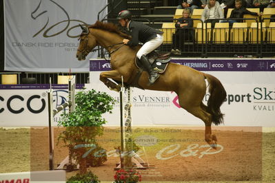 Worldcup Herning 2019
Csi3 grandprix 150cm
Nøgleord: hendrik sosath;lady lordana
