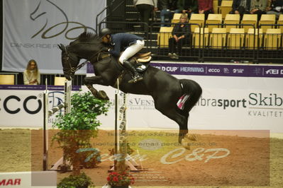 Worldcup Herning 2019
Csi3 grandprix 150cm
Nøgleord: ameen elmaghraby;conrad 123