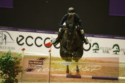 Worldcup Herning 2019
Csi3 grandprix 150cm
Nøgleord: ameen elmaghraby;conrad 123