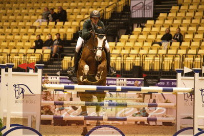 Worldcup Herning 2019
Nøgleord: harm lahde;oak grove's americana