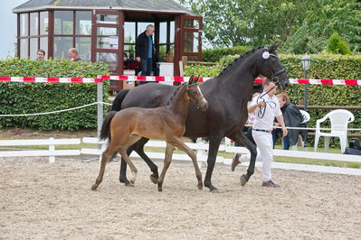 Følchampionat 2019
Billeder fra følchampionat 2019
Nøgleord: kjeldgaardens django