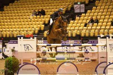 Worldcup Herning 2019
Nøgleord: lars bak andersen;chewie