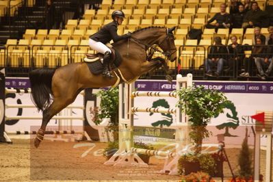 Worldcup Herning 2019
Nøgleord: louisa müller;lord larry 4
