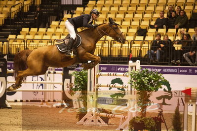Worldcup Herning 2019
Nøgleord: marcus westergren;astree de burgo