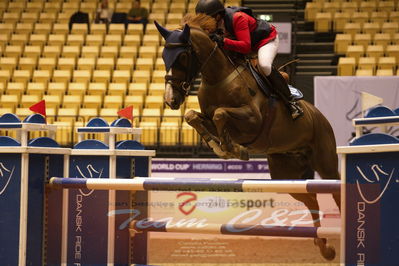 Worldcup Herning 2019
Nøgleord: rikke haarstup kristensen;balouca z