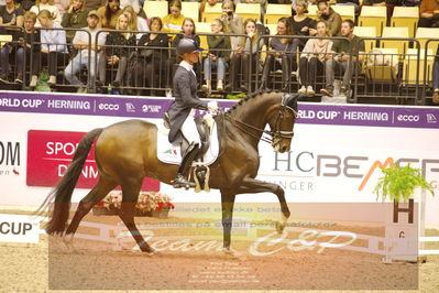 Dressage
grandprix special
Nøgleord: adelinde cornelissen;zephyr