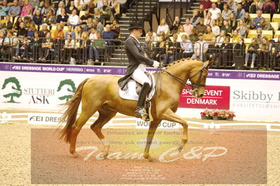 Dressage
grandprix special
Nøgleord: frederic wandres;duke of britain