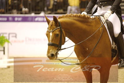 Dressage
grandprix special
Nøgleord: frederic wandres;duke of britain