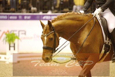 Dressage
grandprix special
Nøgleord: frederic wandres;duke of britain