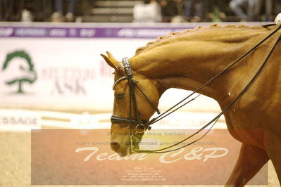 Dressage
grandprix special
Nøgleord: frederic wandres;duke of britain