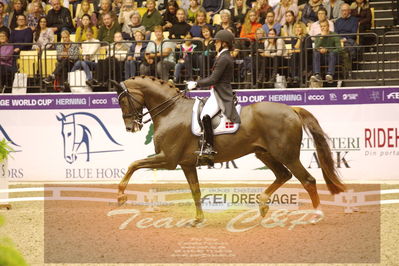 Dressage
grandprix special
Nøgleord: catrine dufour;bohemian