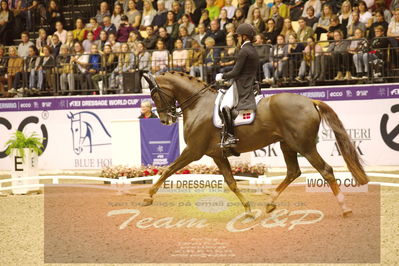 Dressage
grandprix special
Nøgleord: catrine dufour;bohemian