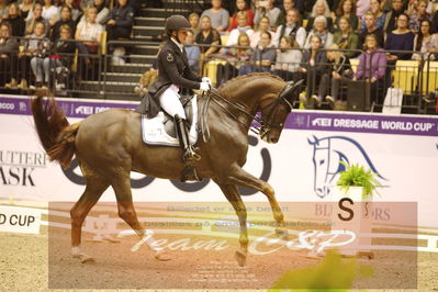 Dressage
grandprix special
Nøgleord: catrine dufour;bohemian